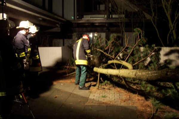 Baum_02.JPG (25456 Byte)