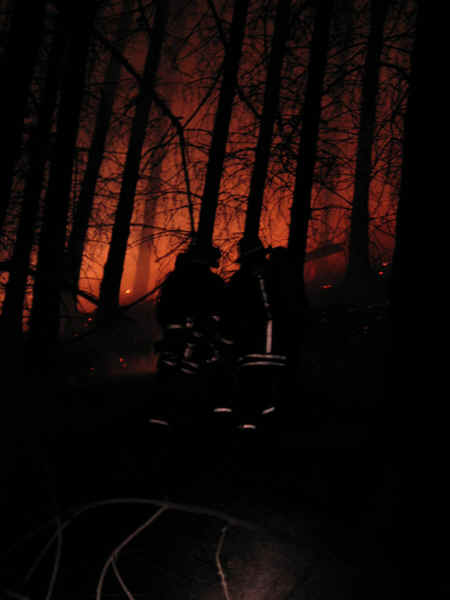 Waldbrand_Feuer.jpg (17440 Byte)